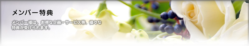 ���С���ŵ