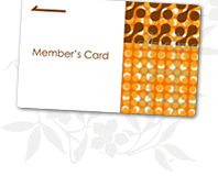 ���С���������