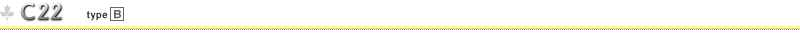 C22 typeB