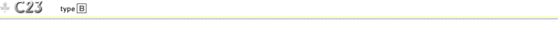 C23 type��