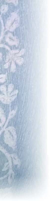 �������Ҳ�