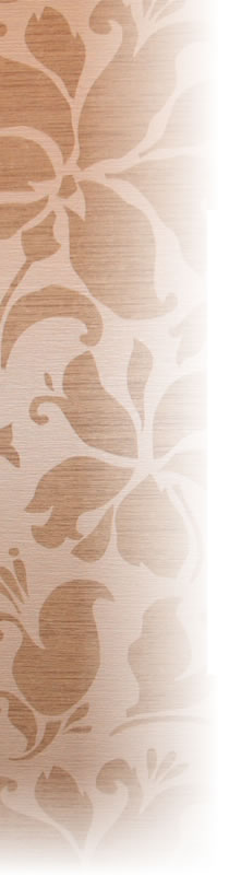 �������Ҳ�