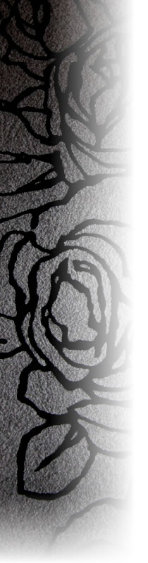 �������Ҳ�