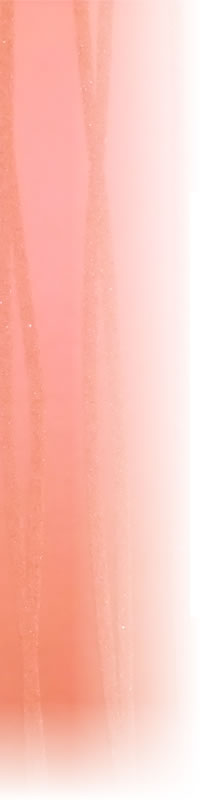 �������Ҳ�