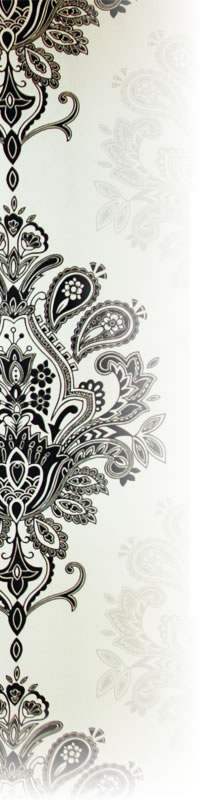 �������Ҳ�