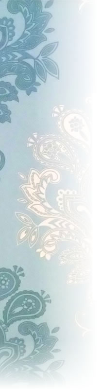 �������Ҳ�