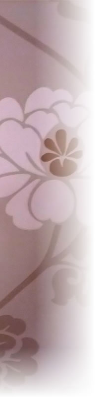 �������Ҳ�