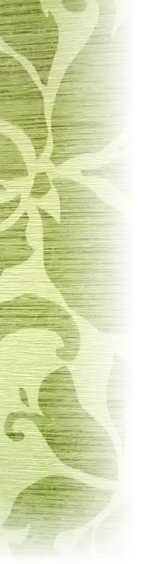 �������Ҳ�