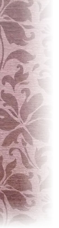 �������Ҳ�