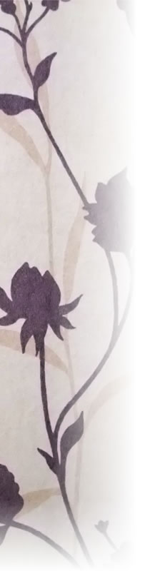 �������Ҳ�