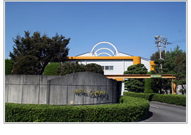 �顦�ץ��Ⅱ���뎥��¦��