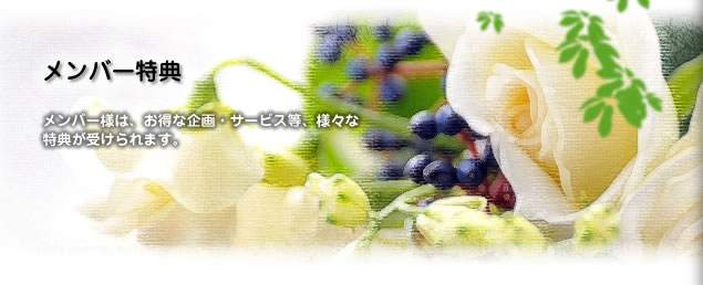 ���С���ŵ