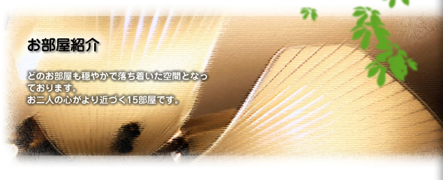 �������Ҳ�